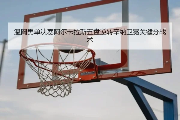 wen-wang-nan-dan-jue-sai-a-er-ka-la-si-wu-pan-ni-zhuan-xin-na-wei-mian-guan-jian-fen-zhan-shu-2-751.jpg